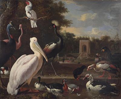 A Pelican and other exotic birds in a park, unknow artist